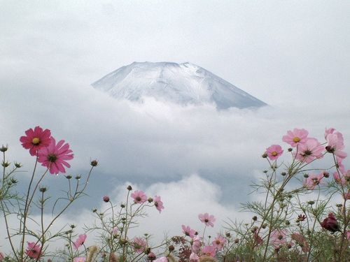 富士山下