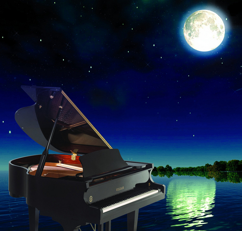 夜的钢琴曲（十二）