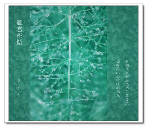 雨