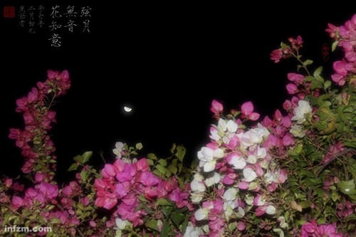 江月初照人 (埙）