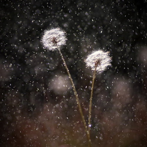 微风细雨