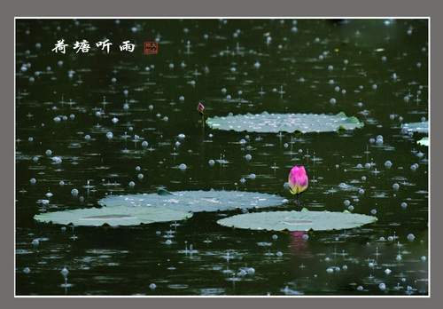 听雨