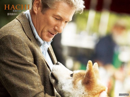 HACHI