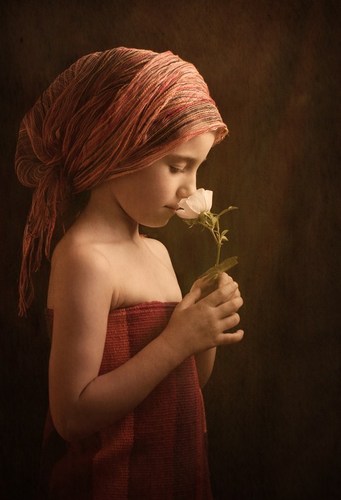 beauty of forgiveness
