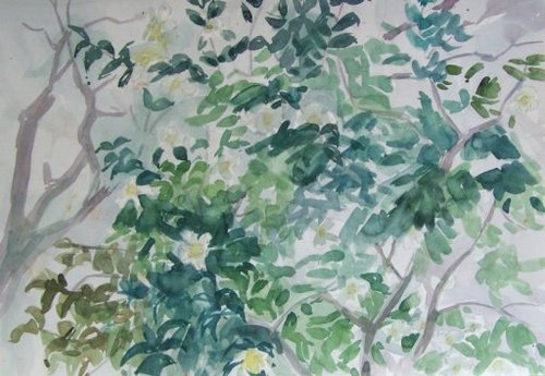 The Green Leaves of Summer (The Alamo)