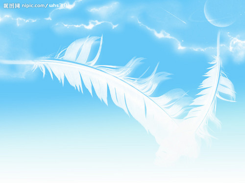 toss the feathers
