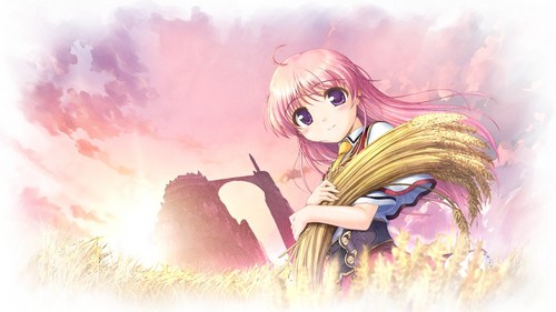 Passionata