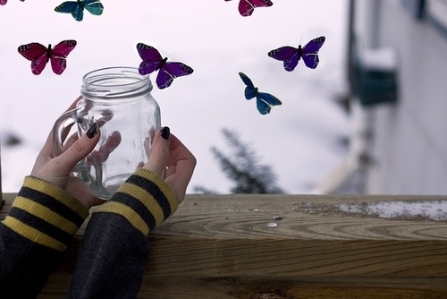 紫蝶幽谷 Ualley Of The Purple Butterflies