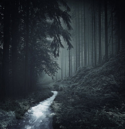 Chants d'Automne