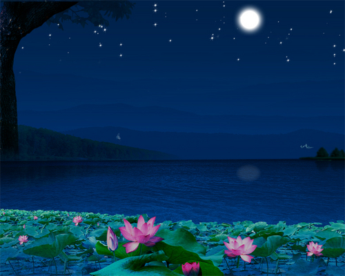 Moonlight Over The Lotus Pond   荷塘月色