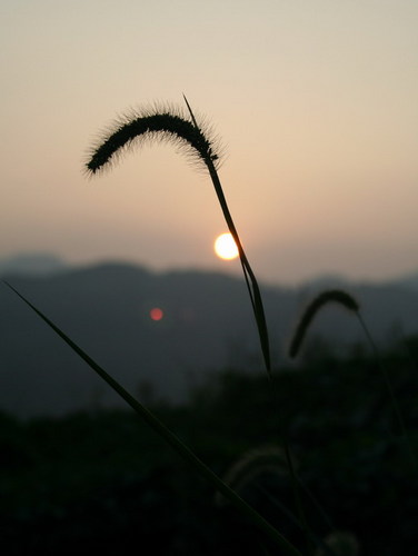 沧凉血漠 沧凉(无尽血漠)