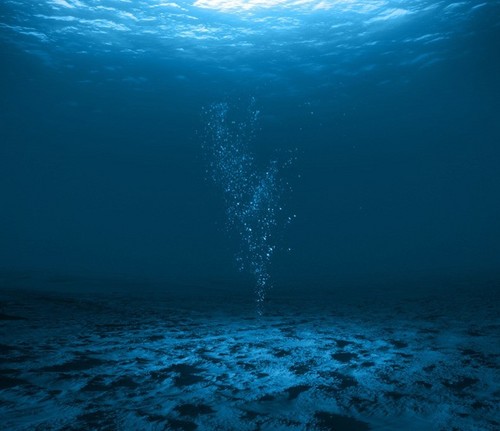 깊은 바다의 기억