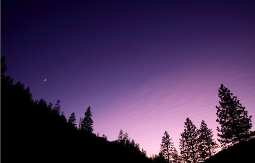Pacific Coast Highway