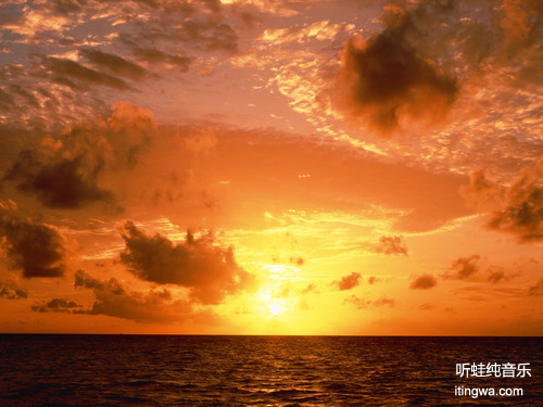 Ocean Melody
