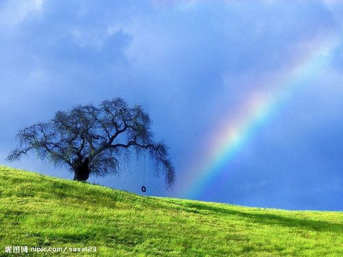 Rainbow Melody