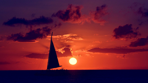  From Distant Shores