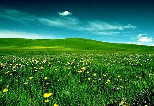 Emerald Skies