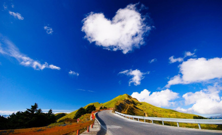 Shape Of My Heart 