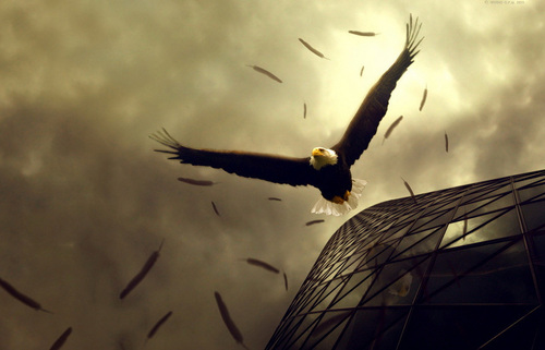 Flight of the Condor