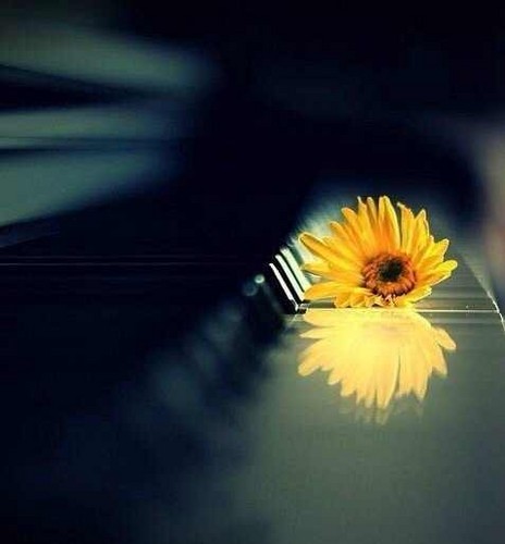 Piano Tears 钢琴的眼泪