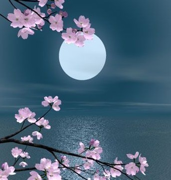 白月光