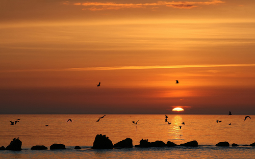 Sunrise (Original Mix)