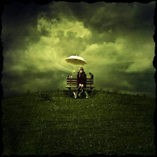 After the Rains（雨后）