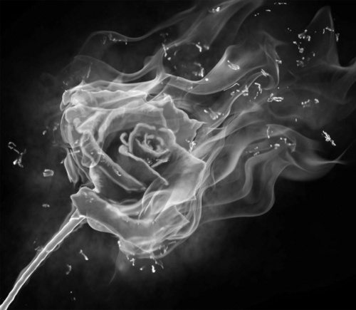Into The Embers