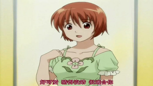 淡い恋心