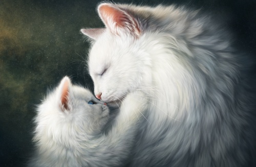 A Love Story
