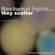 Nocturnal Lights...They Scatter