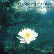 The Spirit Of The Zither 筝的精神