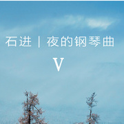 夜的钢琴曲V