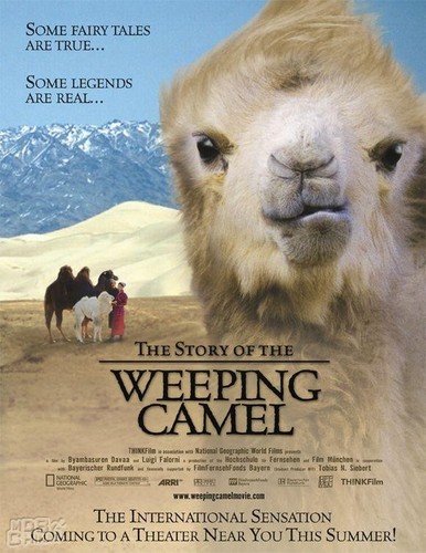 哭泣的骆驼《The Story of the Weeping camel》OST