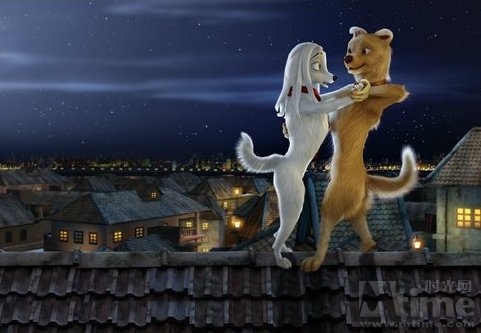 Rooftop Romance