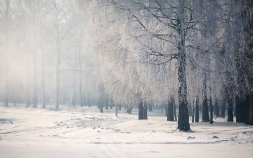 战国.雪