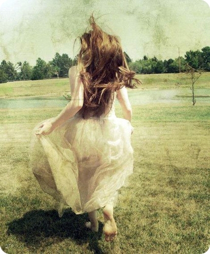 A Midsummer Night`s Dream