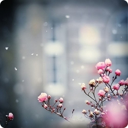 霜降永年