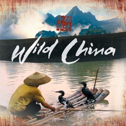 美丽中国主题音乐-纪录片美丽中国原声配乐