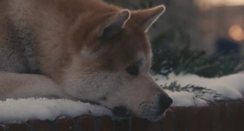 Parker And Hachi Walk To The Station