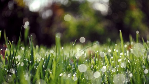 雨滴上的卡农