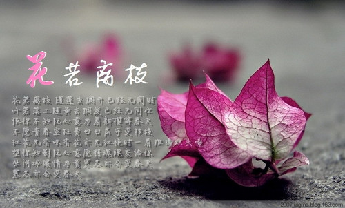 花若离枝