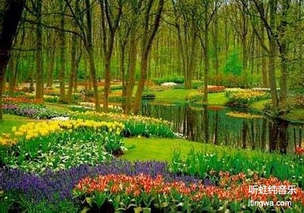In the Garden / 游园