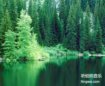 风中的涟漪