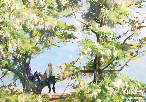 樱花♣少年