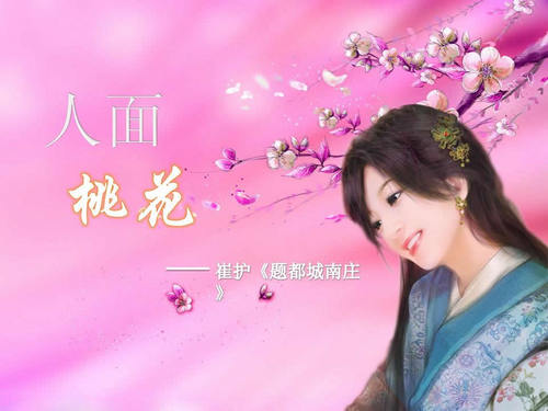 古筝——人面桃花