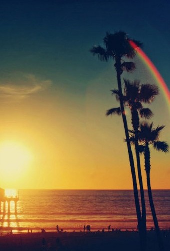 See The Sun