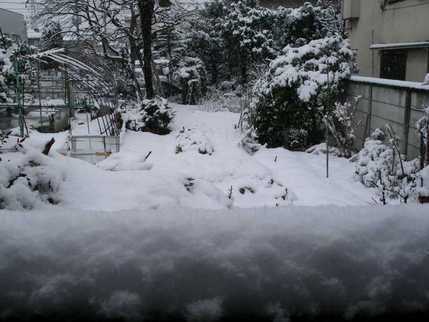 思い出は遠く儚く