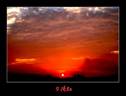 几度夕阳红 【大提琴】