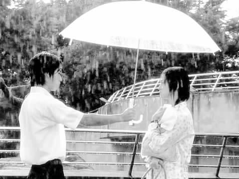 伤心雨
